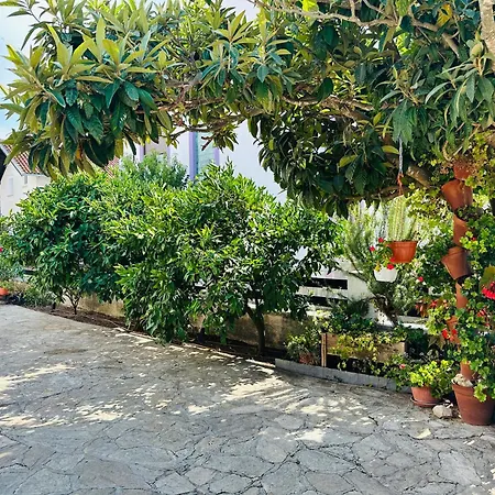 Family Near Petrcane - Quiet & Central- Unit 1 *
